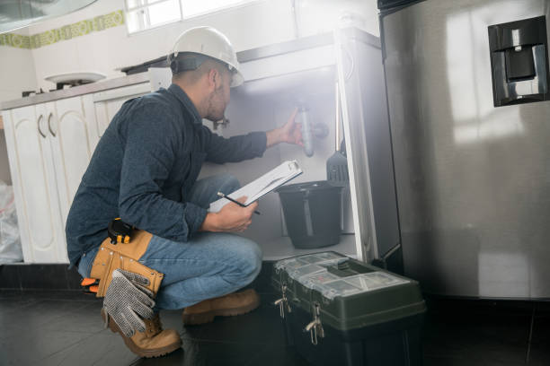 Best Clogged Drain Plumber  in Du Quoin, IL