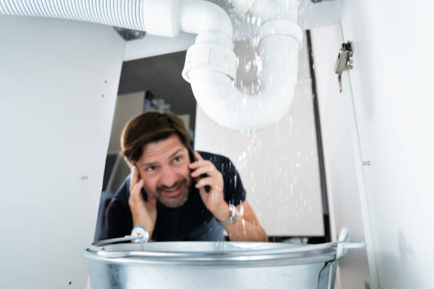 Best Leak Detection Services  in Du Quoin, IL