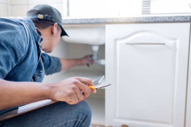 Best Plumbing Repair Near Me  in Du Quoin, IL