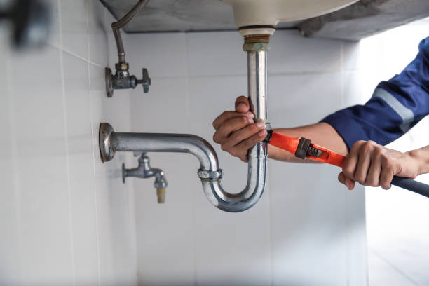 Best Clogged Drain Plumber  in Du Quoin, IL